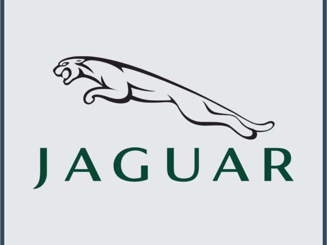 Jaguar Batang